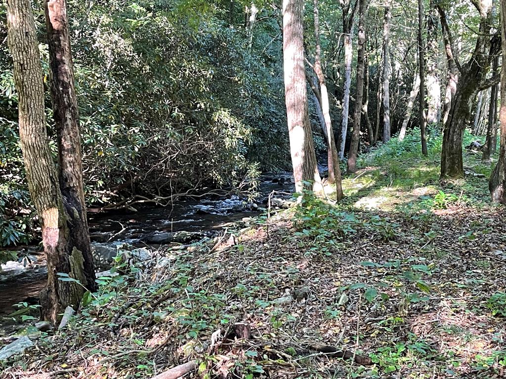 5 Tusquittee Crossing Property Photo 9