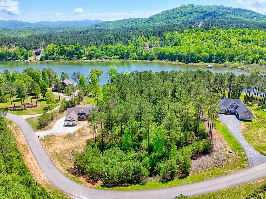 Lot 114 Sandy Lake Lane Property Photo 2