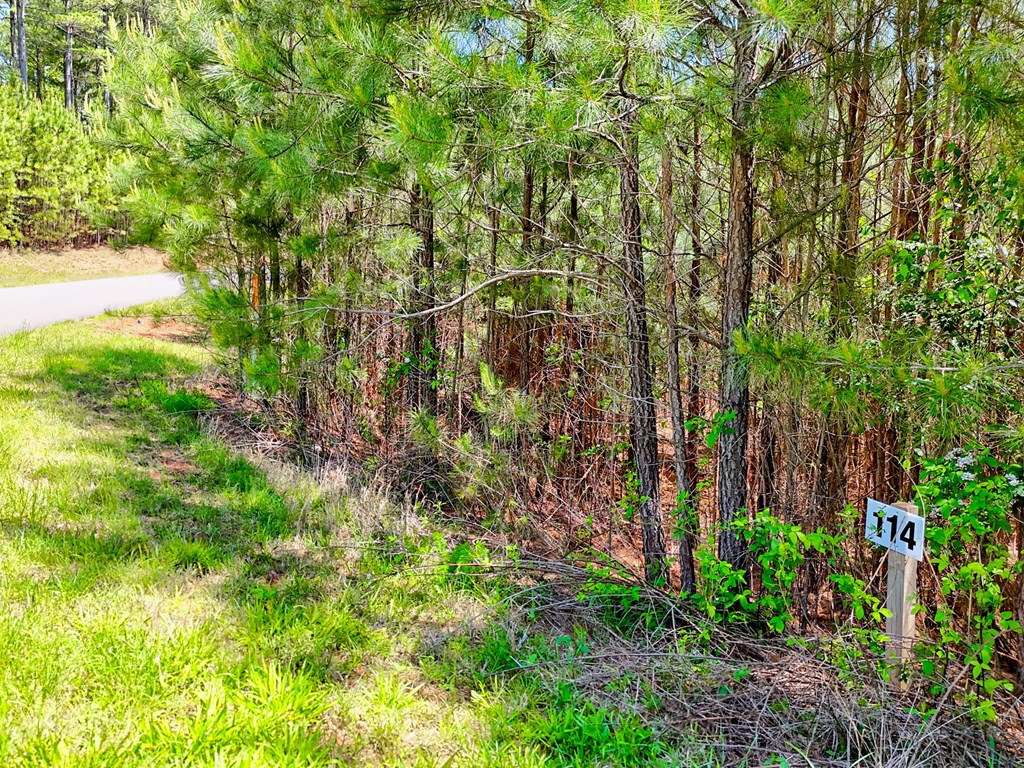 Lot 114 Sandy Lake Lane Property Photo 4