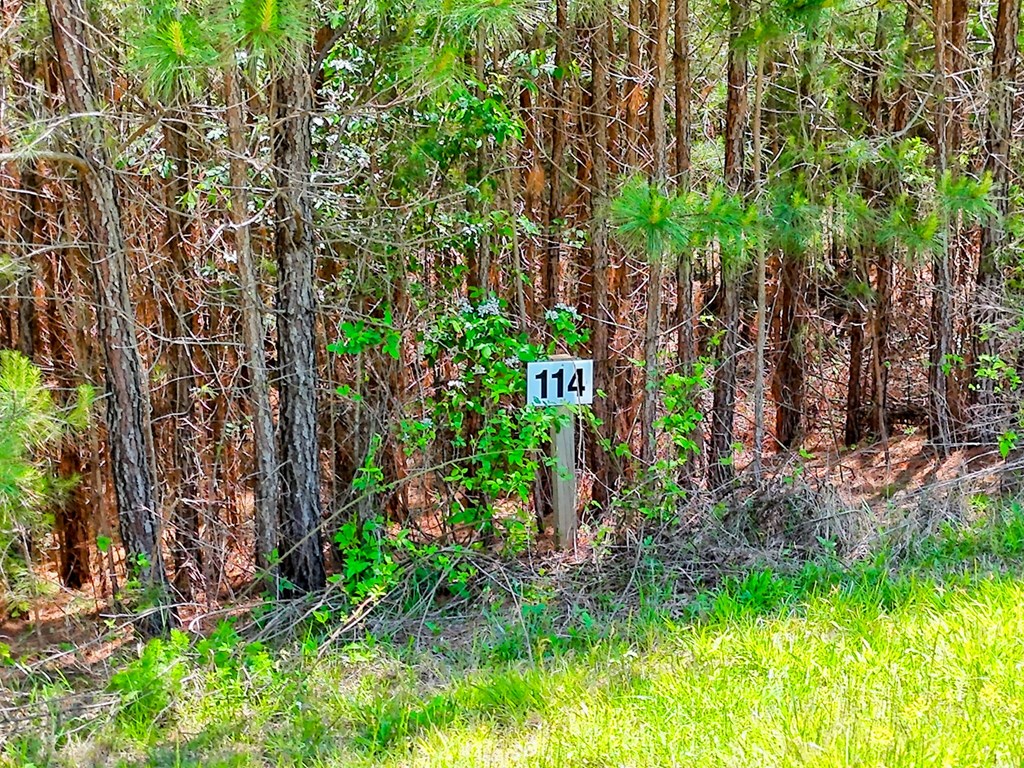 Lot 114 Sandy Lake Lane Property Photo 5
