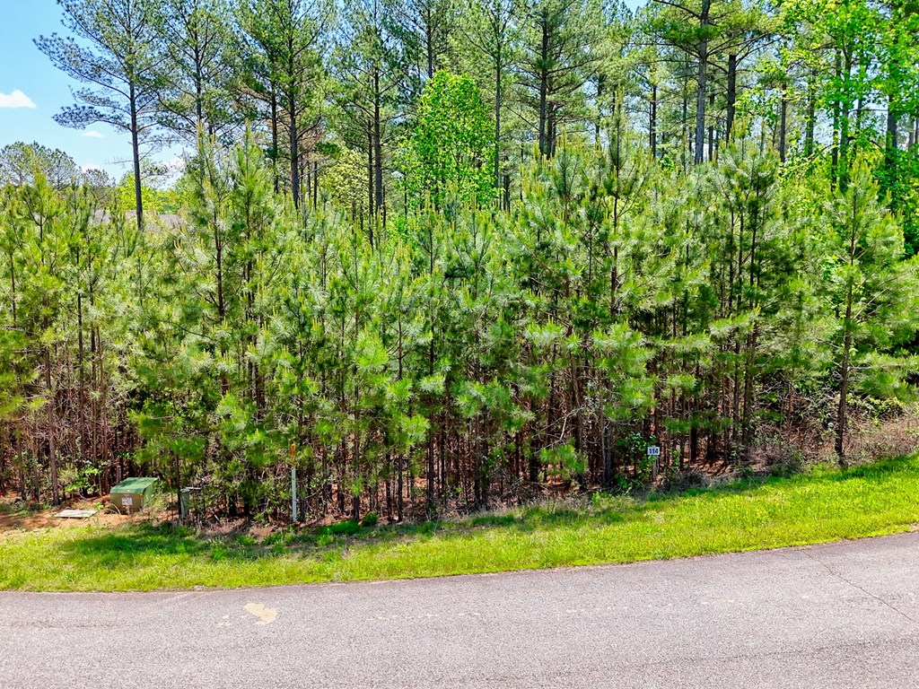Lot 114 Sandy Lake Lane Property Photo 6