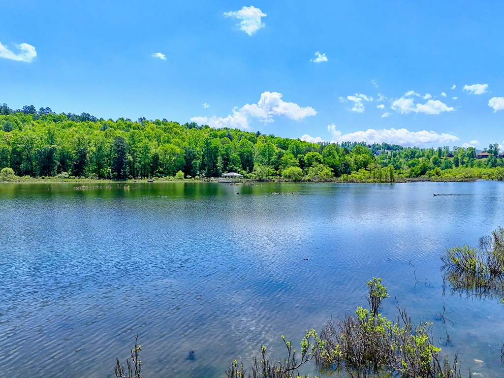 Lot 114 Sandy Lake Lane Property Photo 7