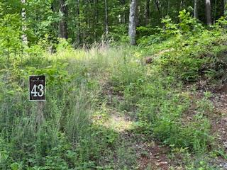 43 Tusquittee Crossing Property Photo 3