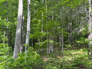 43 Tusquittee Crossing Property Photo 10