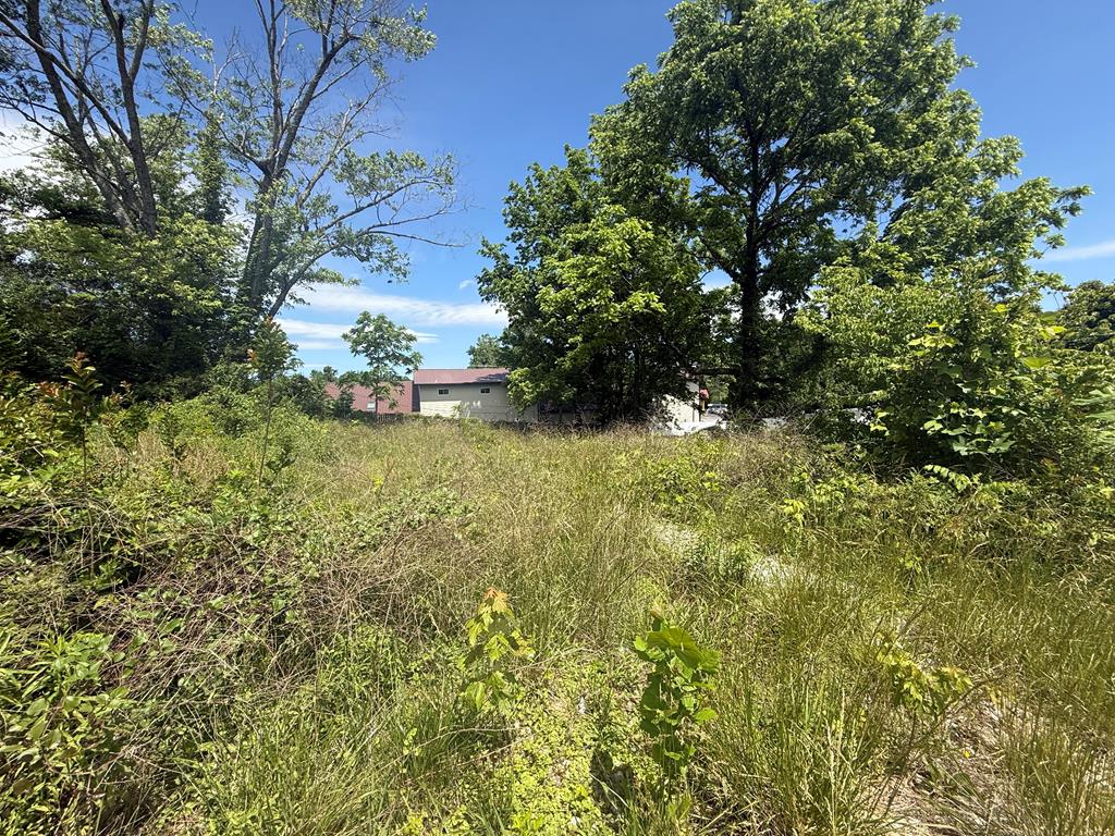 Lot 19 E Second Street Property Photo 1