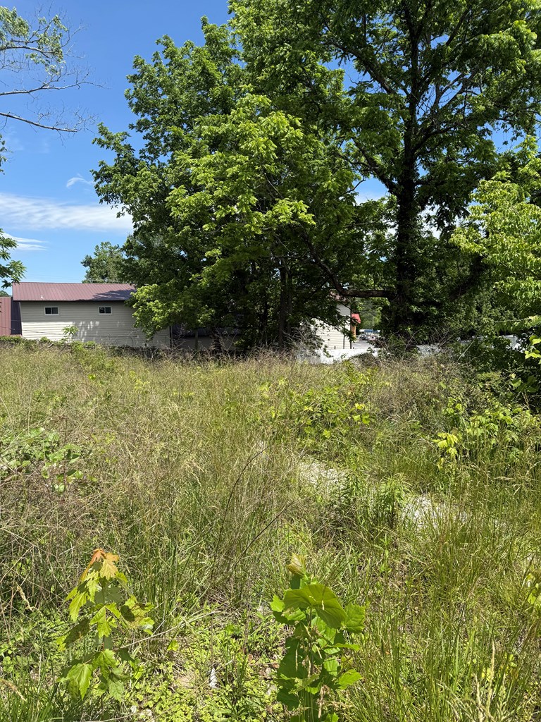 Lot 19 E Second Street Property Photo 2