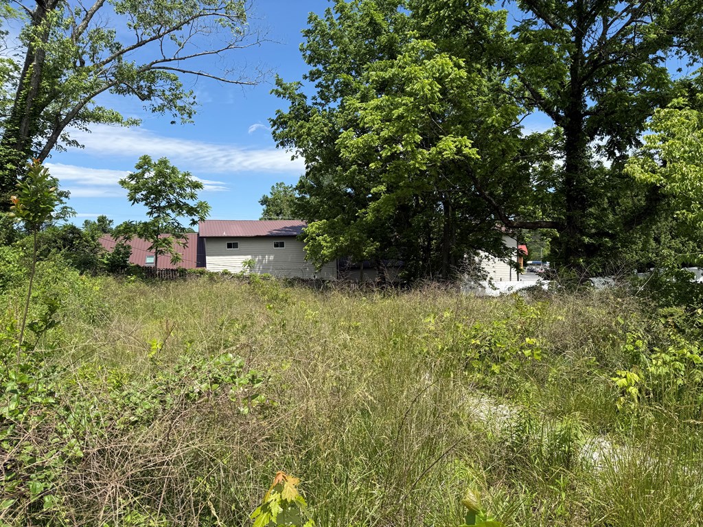 Lot 19 E Second Street Property Photo 3