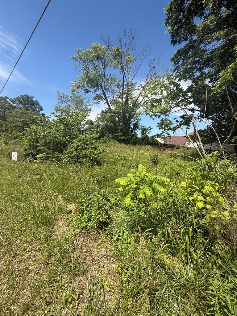 Lot 19 E Second Street Property Photo 4