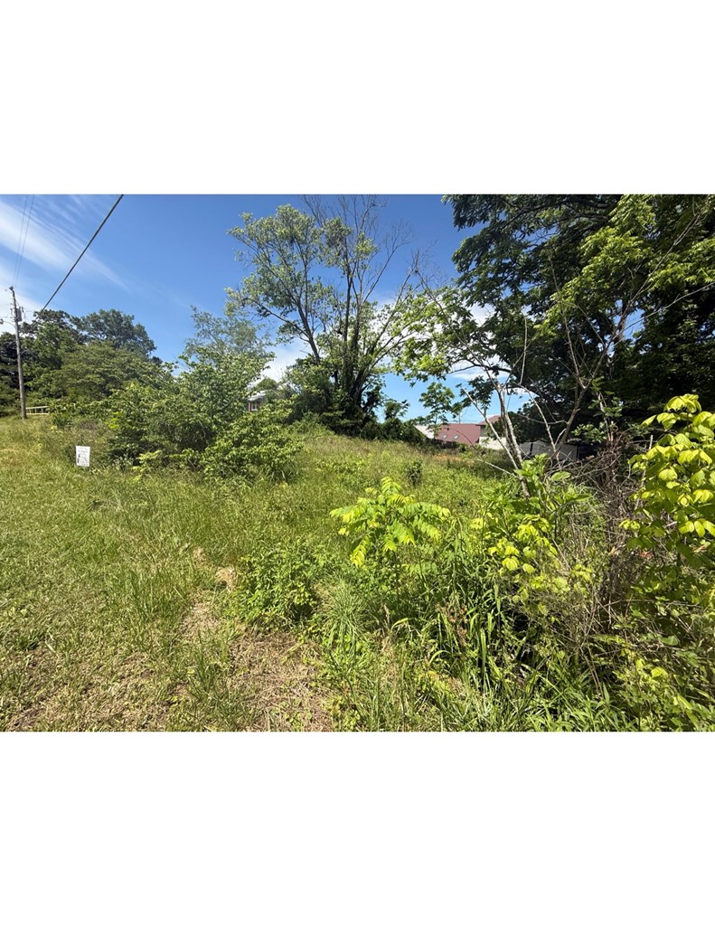 Lot 19 E Second Street Property Photo 6