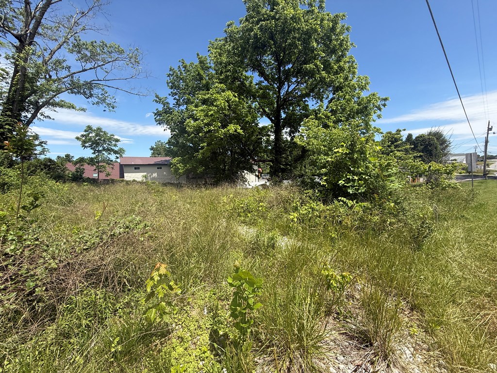 Lot 19 E Second Street Property Photo 7