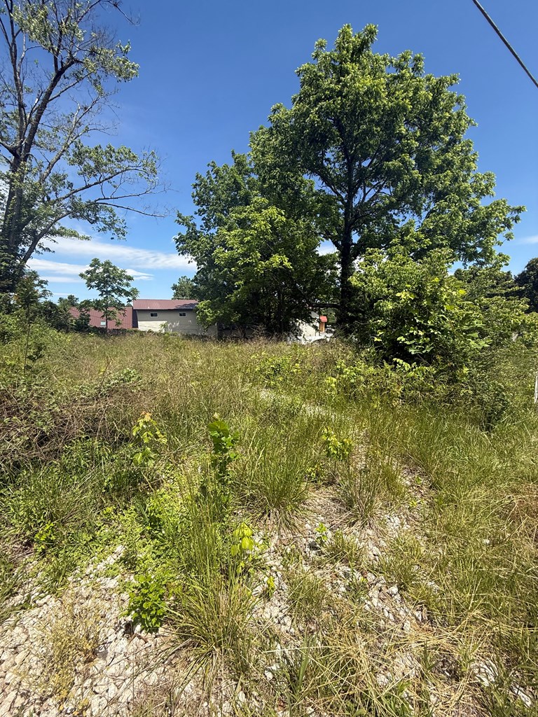 Lot 19 E Second Street Property Photo 8