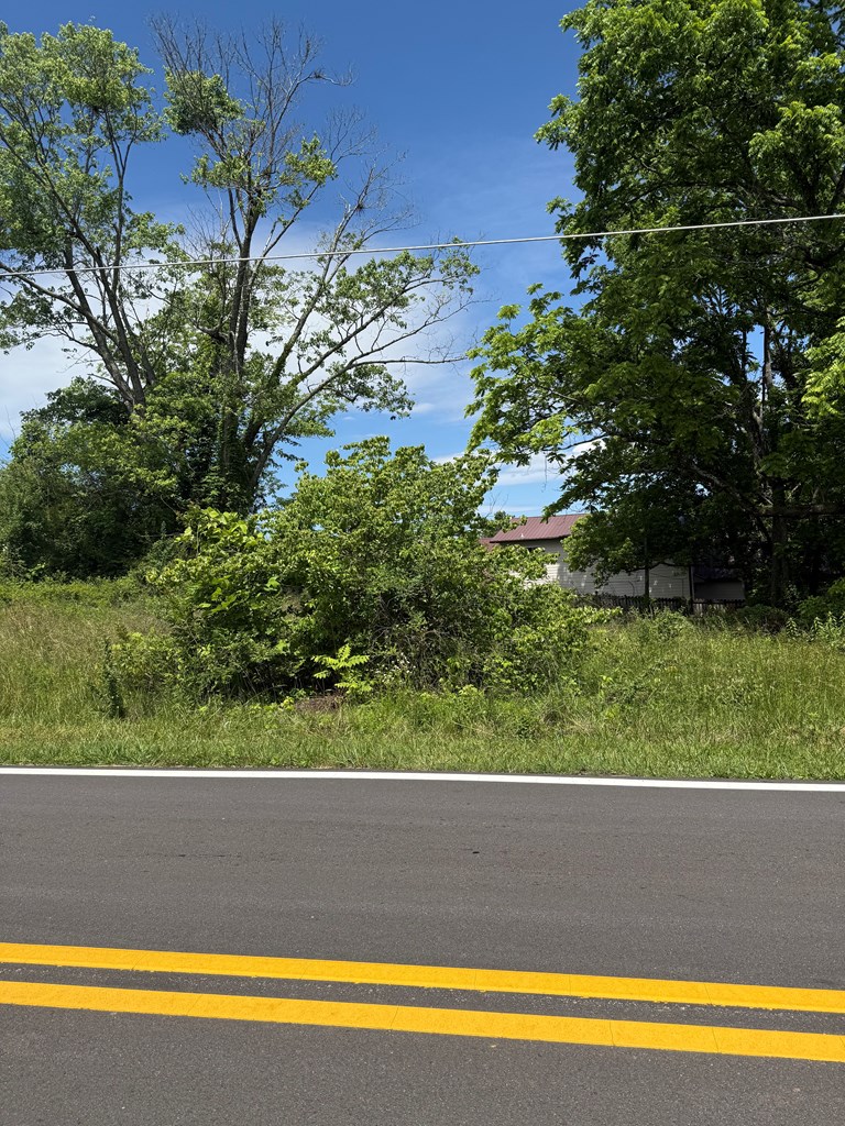 Lot 19 E Second Street Property Photo 10