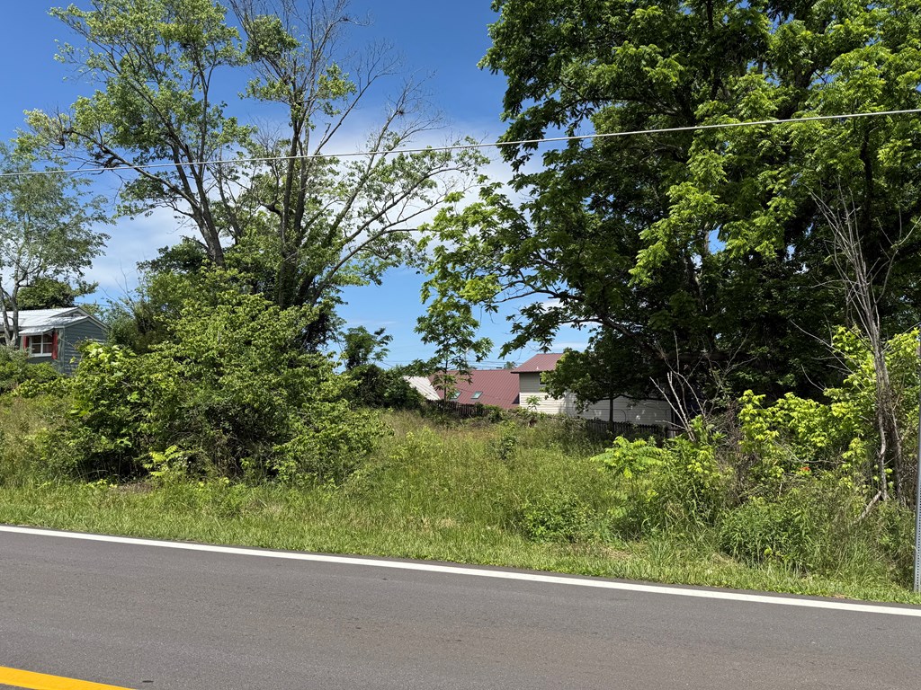 Lot 19 E Second Street Property Photo 11