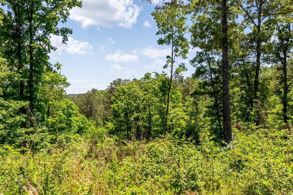 Lt160 Shallow Water Trail Property Photo 1