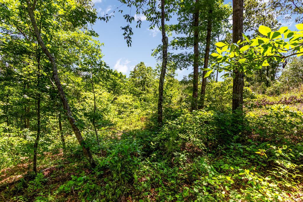 Lt160 Shallow Water Trail Property Photo 2