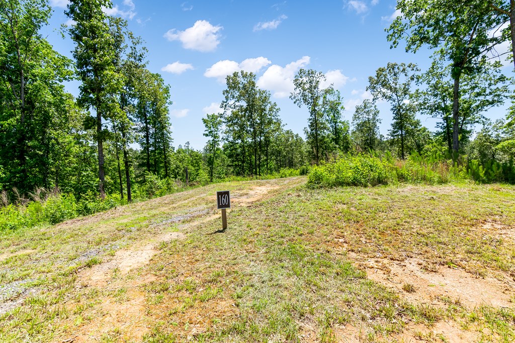 Lt160 Shallow Water Trail Property Photo 5