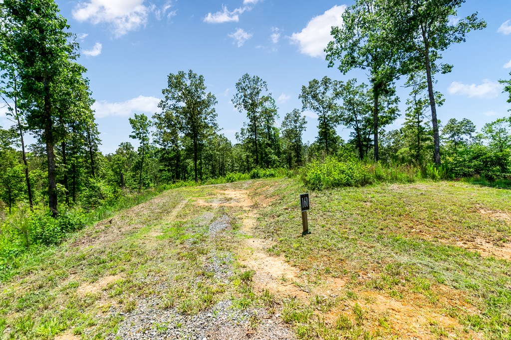 Lt160 Shallow Water Trail Property Photo 6