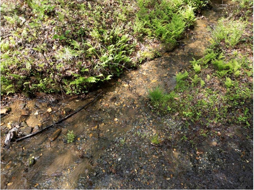 Lt160 Shallow Water Trail Property Photo 8