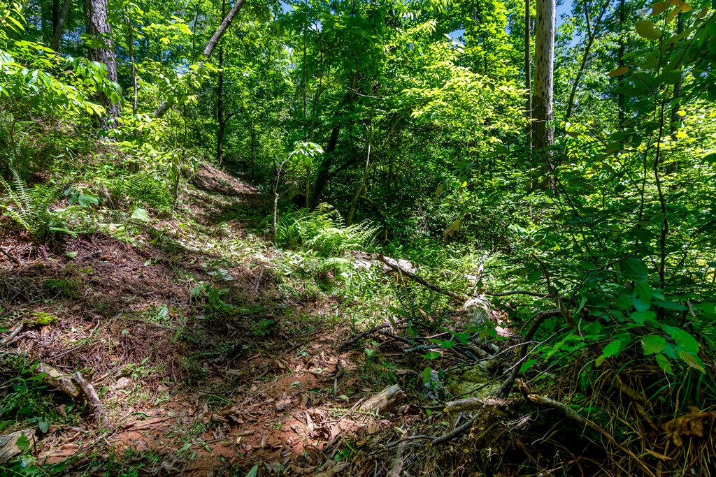 Lt160 Shallow Water Trail Property Photo 11