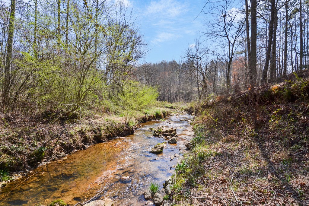 Lt160 Shallow Water Trail Property Photo 20