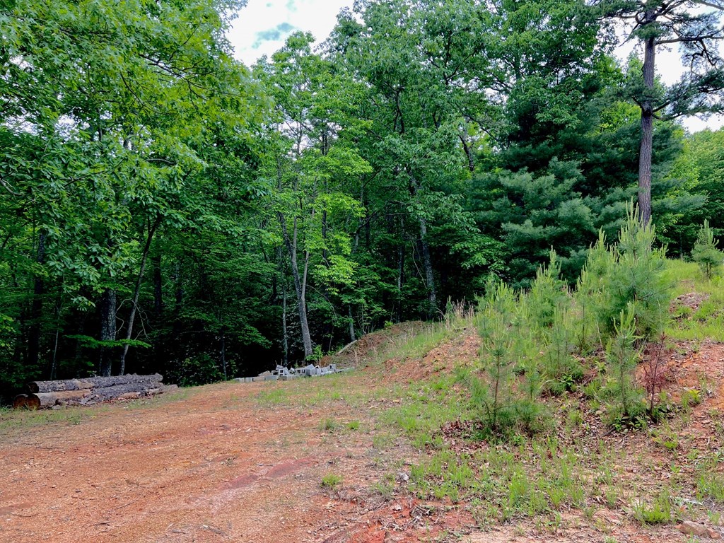 788 Beavers Drive Property Photo 15