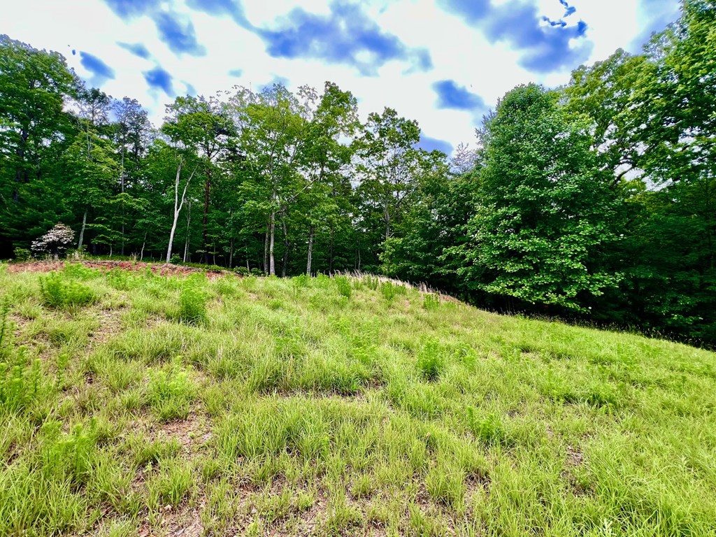 788 Beavers Drive Property Photo 18
