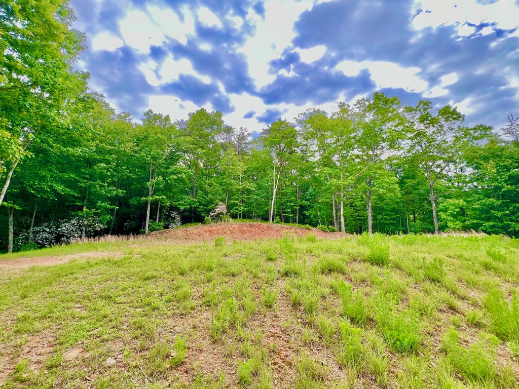 788 Beavers Drive Property Photo 19
