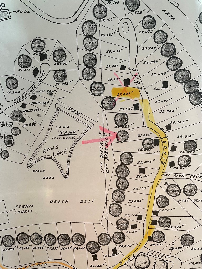 J273 Pine Ridge Road Property Photo 2