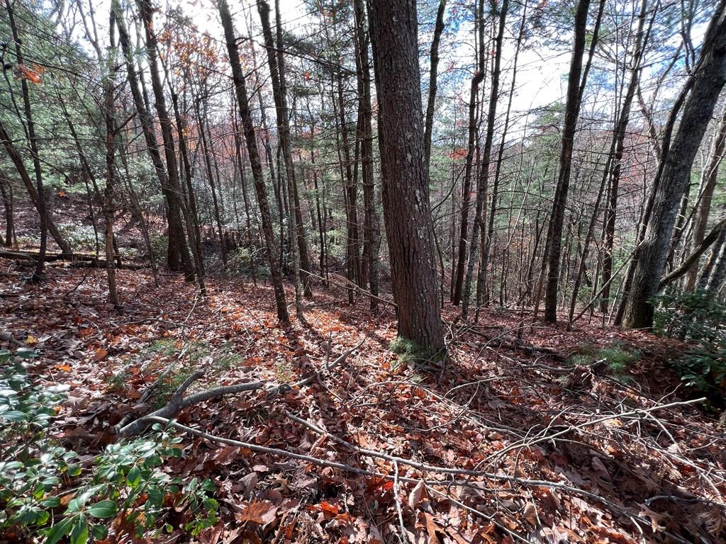 J273 Pine Ridge Road Property Photo 3