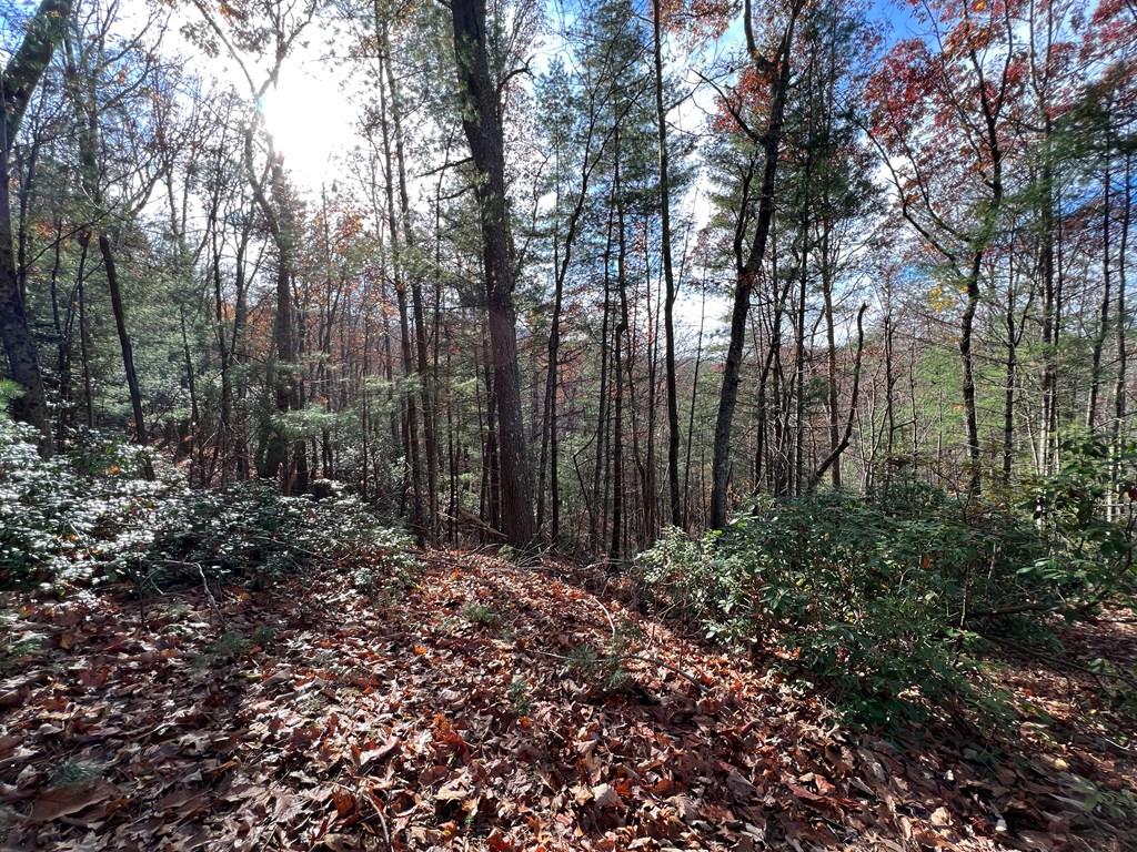 J273 Pine Ridge Road Property Photo 4