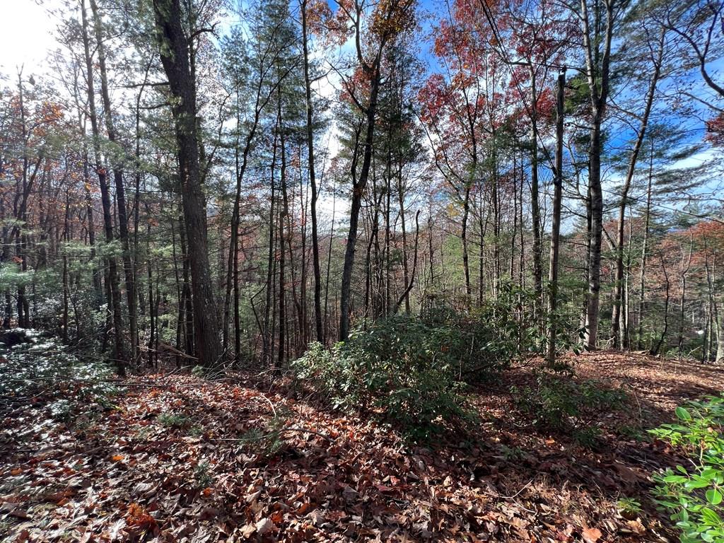 J273 Pine Ridge Road Property Photo 5