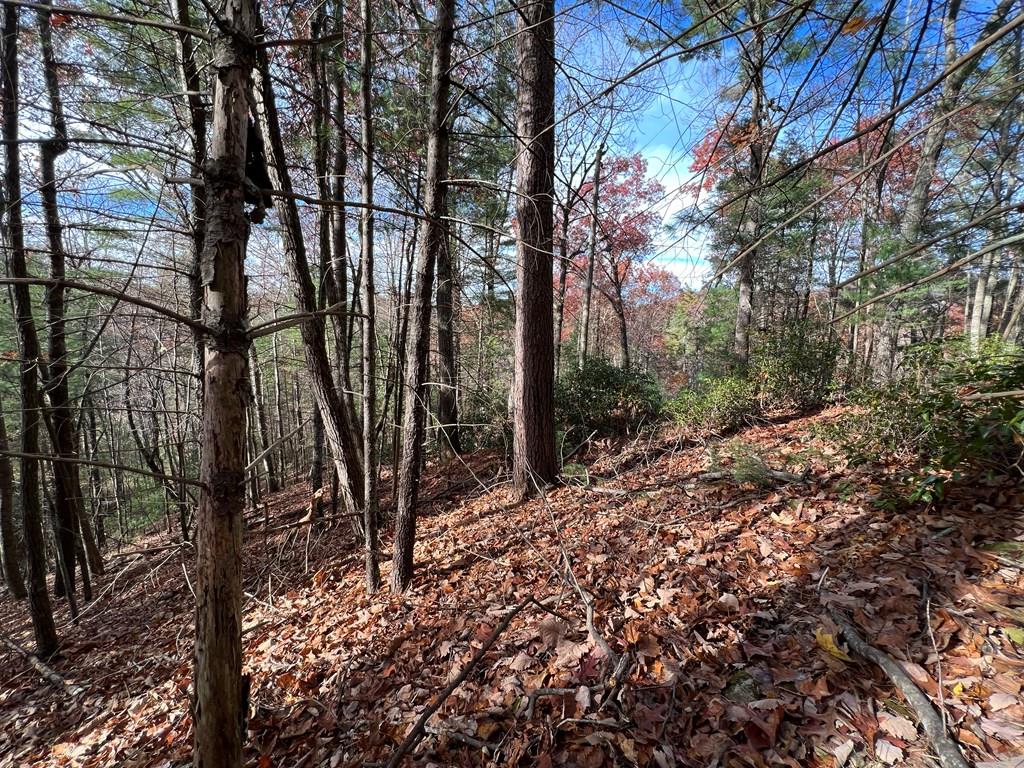 J273 Pine Ridge Road Property Photo 7
