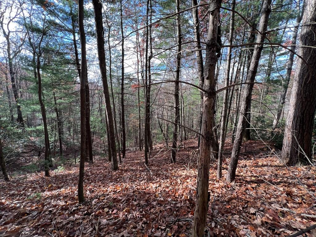 J273 Pine Ridge Road Property Photo 8