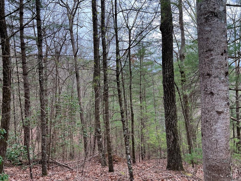 J273 Pine Ridge Road Property Photo 10