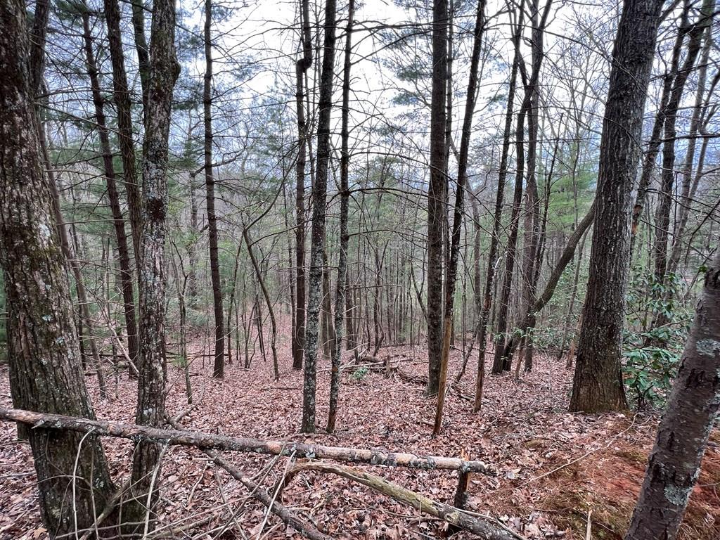 J273 Pine Ridge Road Property Photo 11