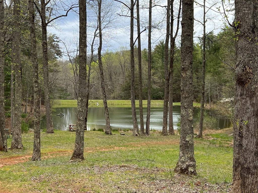 J273 Pine Ridge Road Property Photo 20