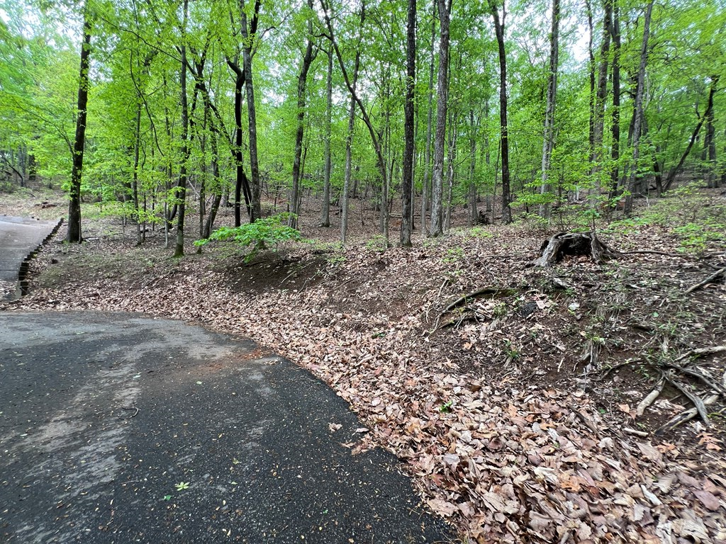 387 Windflower Drive Property Photo 4