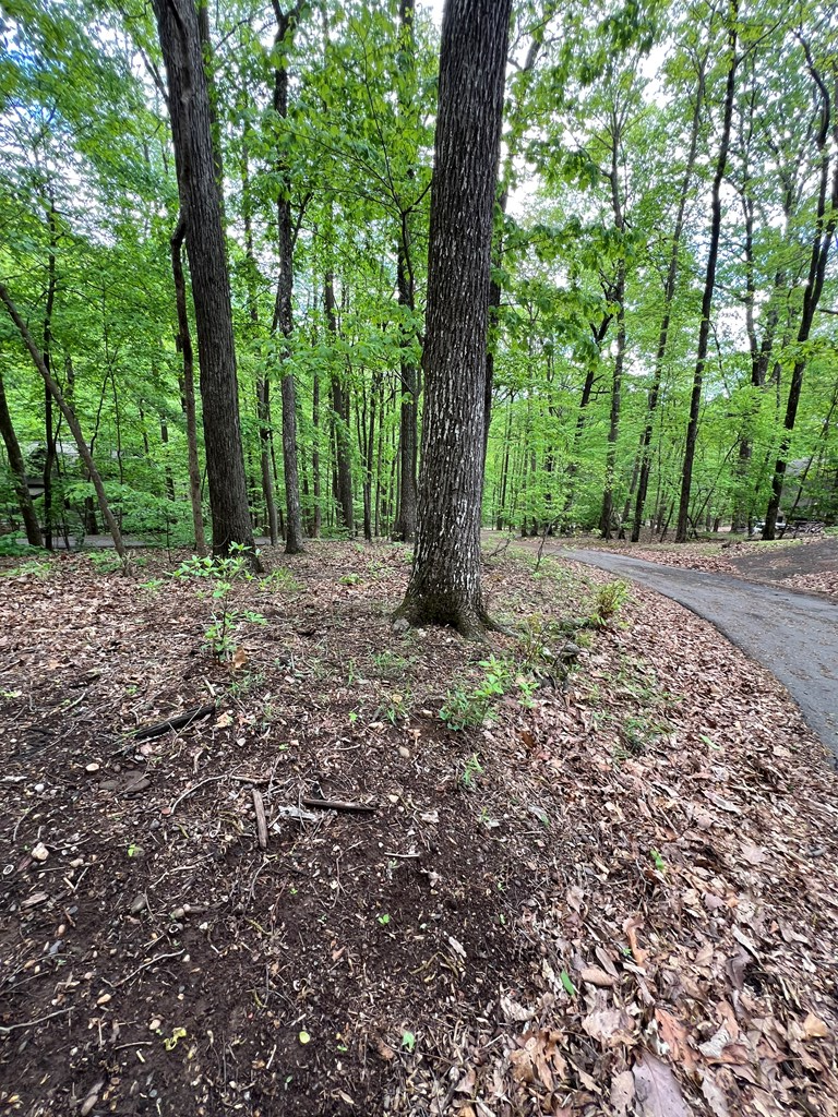 387 Windflower Drive Property Photo 5