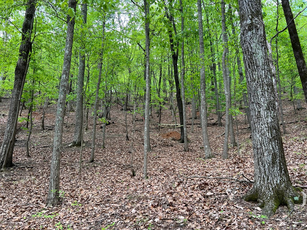 387 Windflower Drive Property Photo 8