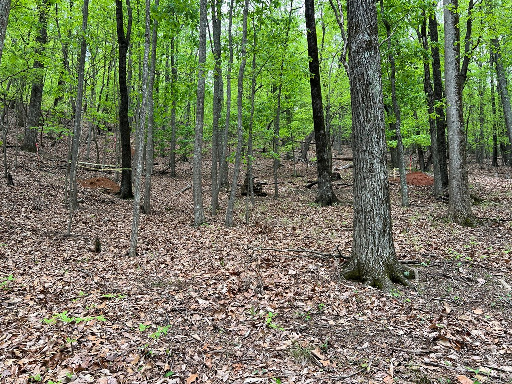 387 Windflower Drive Property Photo 10