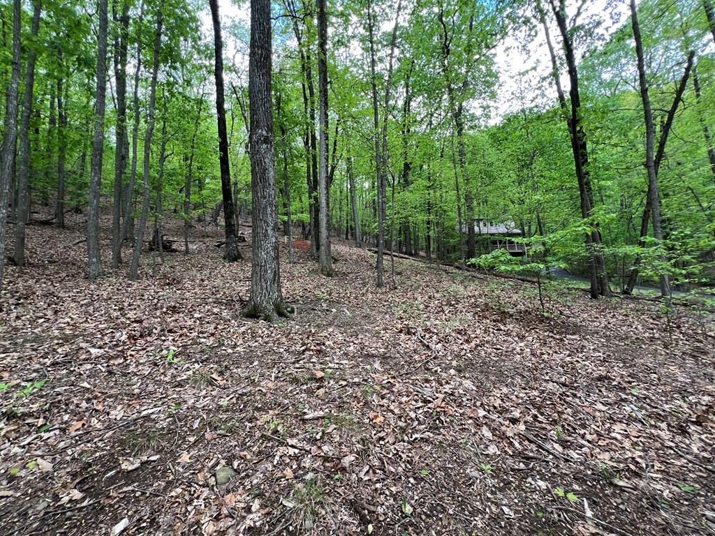 387 Windflower Drive Property Photo 11