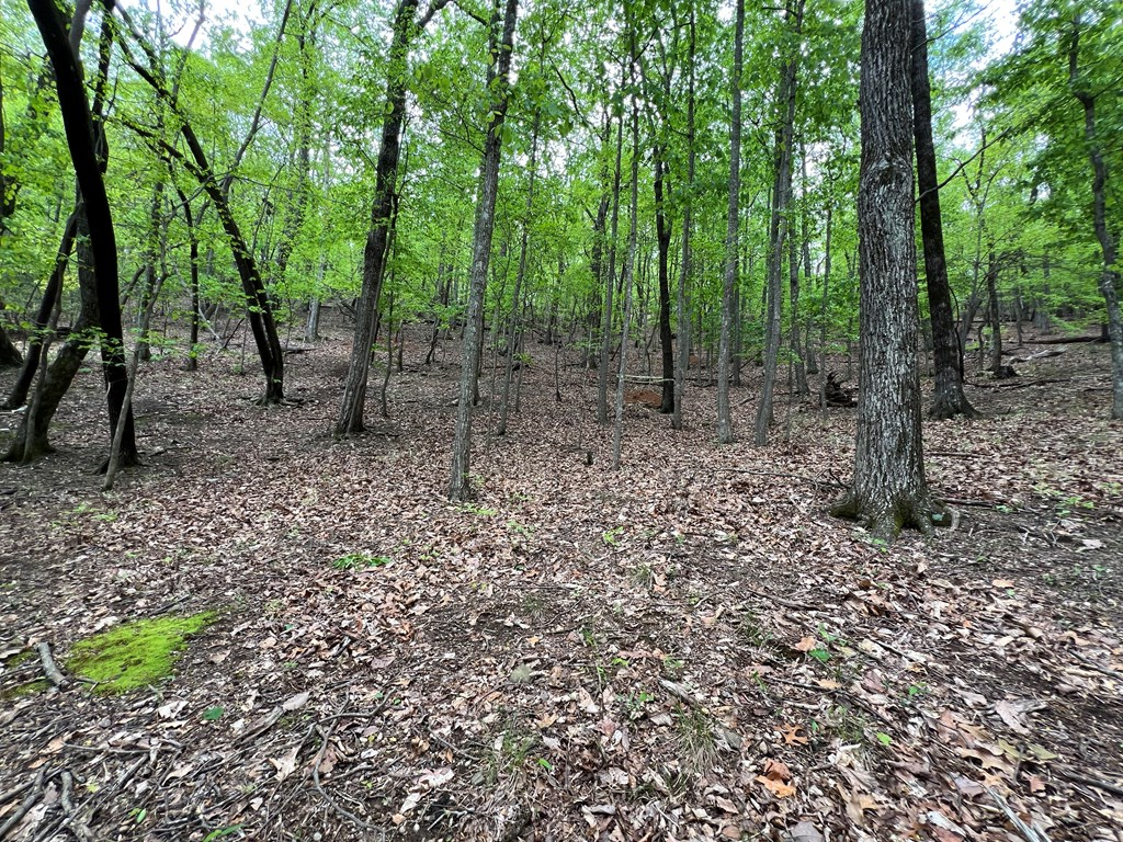 387 Windflower Drive Property Photo 12