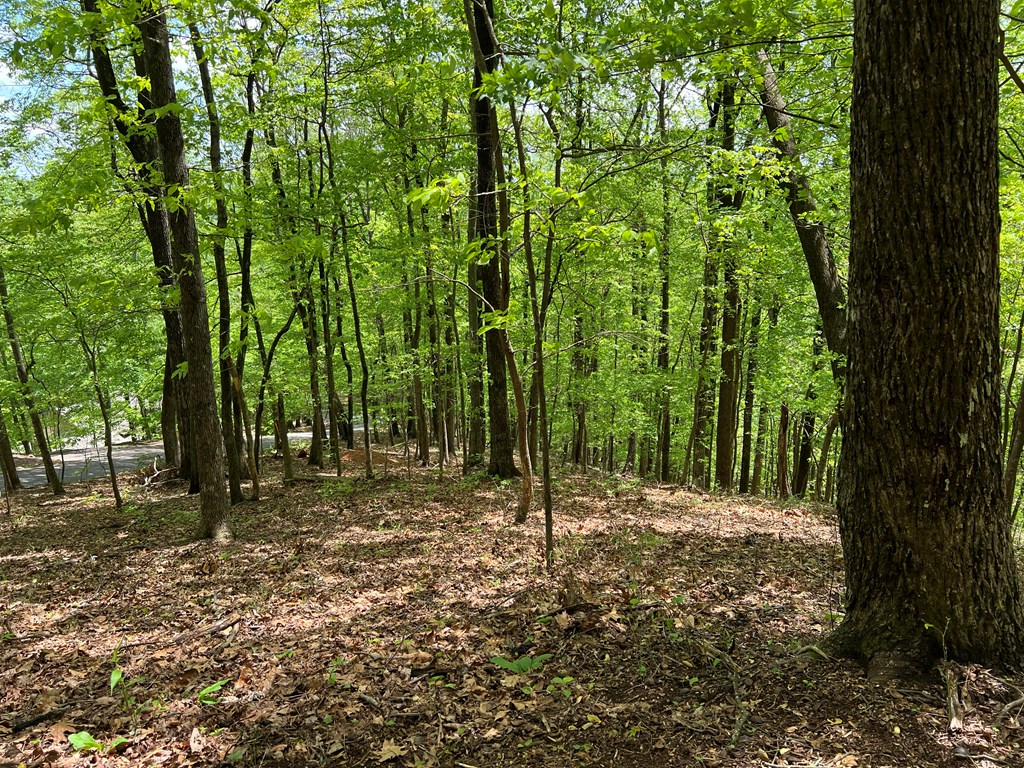 0 Valley View Drive Property Photo 4