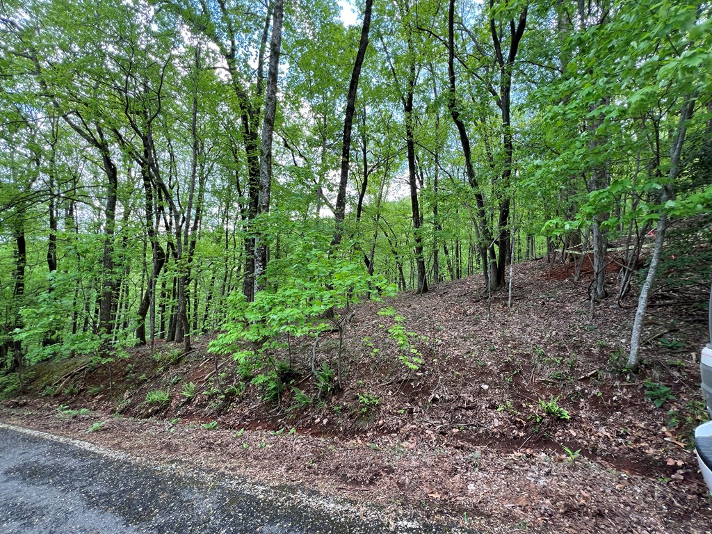 0 Valley View Drive Property Photo 5