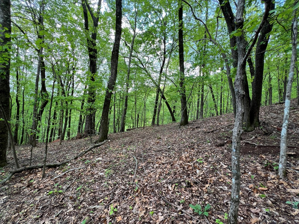 0 Valley View Drive Property Photo 6