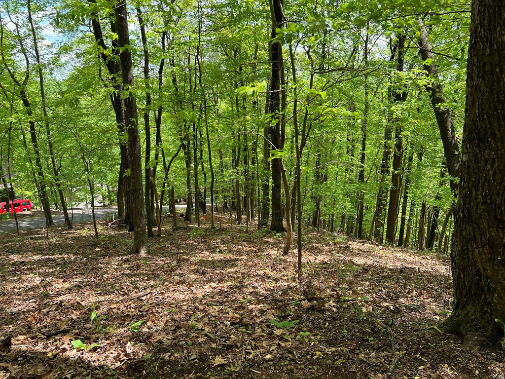0 Valley View Drive Property Photo 8