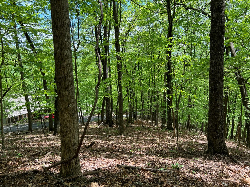 0 Valley View Drive Property Photo 11