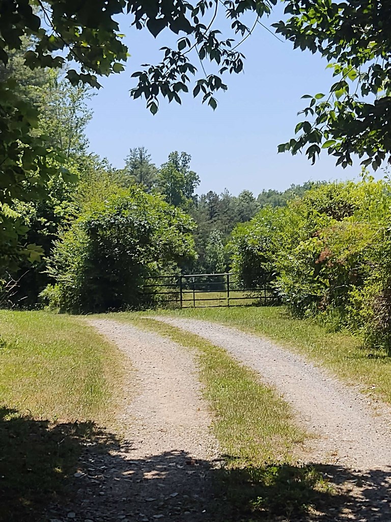 10611 Chatsworth Hwy Property Photo 51