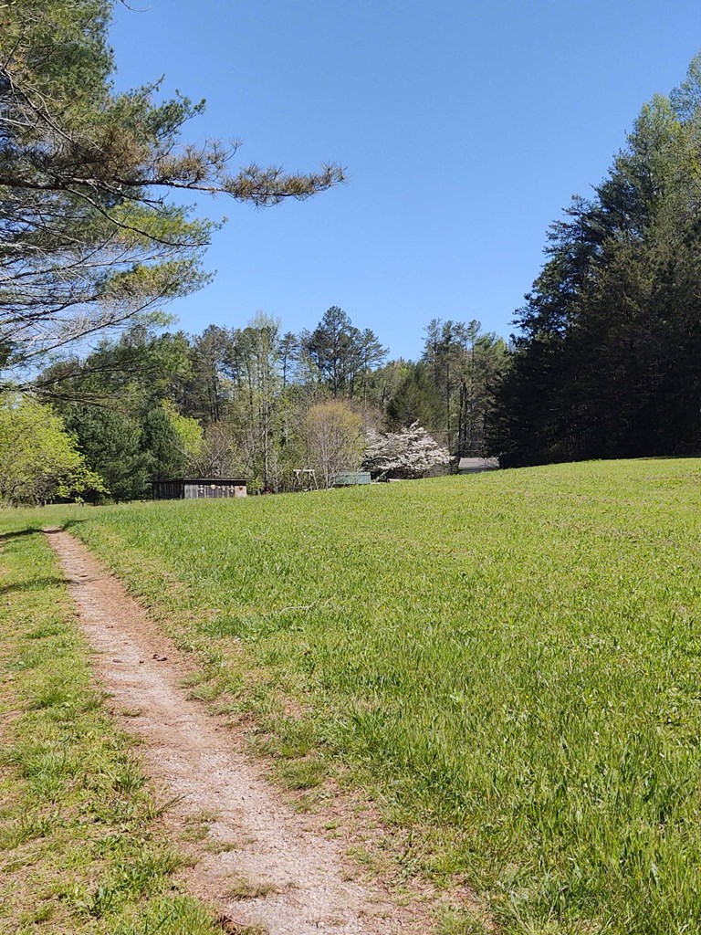 10611 Chatsworth Hwy Property Photo 52