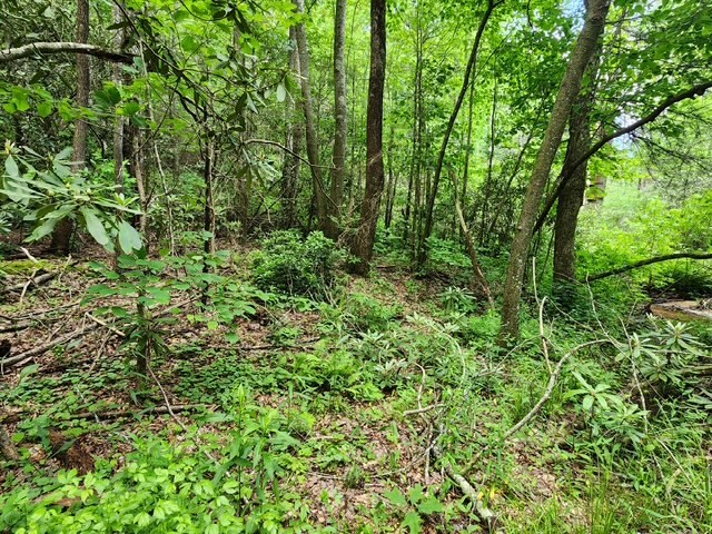 Ll 25 Cashes Valley Property Photo 3
